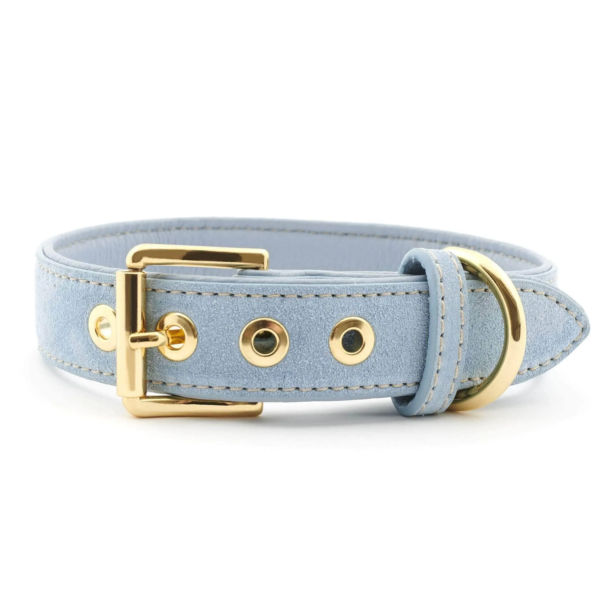 Suede Leather Dog Collar by William Walker - Sky